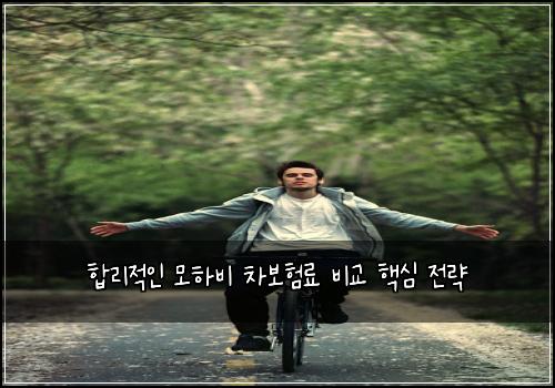  합리적인 모하비 차보험료 비교 핵심 전략