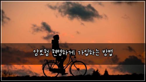 암보험 현명하게 가입하는 방법