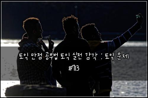 토익 만점 공부법 토익 실전 감각 : 토익 문제 #713