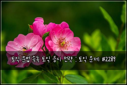 토익 문법 속독 토익 응시 전략 : 토익 문제 #2289