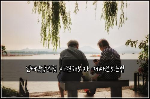 인터넷암보험 마련해보자  제대로보는법