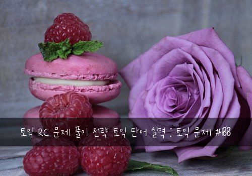 토익 RC 문제 풀이 전략 토익 단어 실력 : 토익 문제 #188