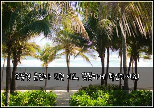 소멸형 운전자 보험 비교, 꼼꼼하게 확인하세요!