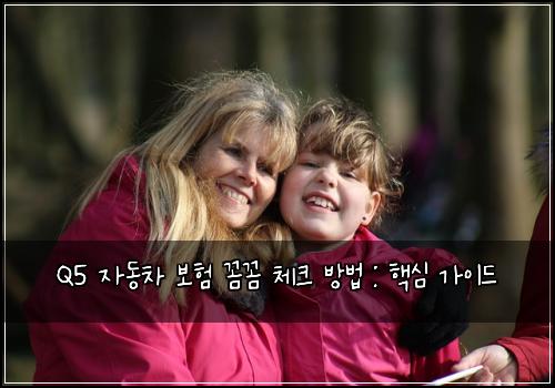 Q5 자동차 보험 꼼꼼 체크 방법 : 핵심 가이드