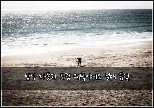๋ฐฉ๋ฒ ์๋์ฐจ ๋ณดํ ํํ์ด์์ ์ ๋ ๊ธ์ก