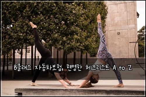 B클래스 자동차보험, 현명한 체크리스트 A to Z