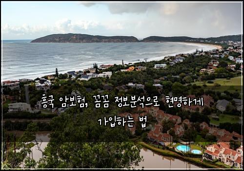 흥국 암보험, 꼼꼼 정보분석으로 현명하게 가입하는 법