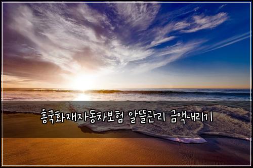 흥국화재자동차보험 알뜰관리  금액내리기