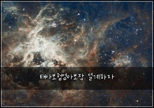 ํ์๋ณดํ์๋ง๋ณด์ฅ ์ค๊ณํ์