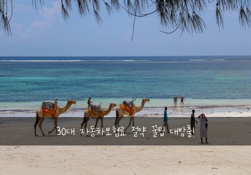 30대 자동차보험료 절약 꿀팁 대방출!