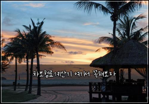 ์ฐจ๋ณดํ๋ฃ๊ณ์ฐ๊ธฐ ์ฌ๊ธฐ์ ๊ผญํด๋ณด์
