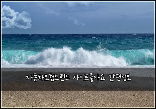 μλ차보νλΈλλ μ¬μ΄νΈμ’μμ κ°νΈμ 보