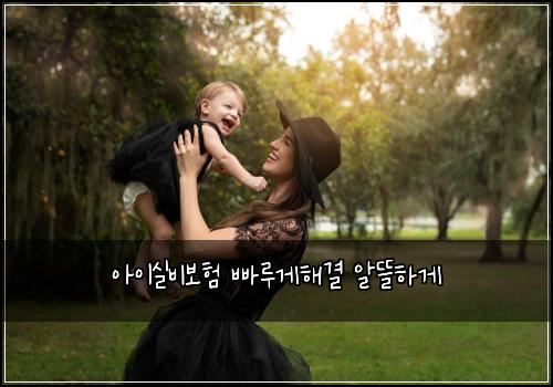 ์์ด์ค๋น๋ณดํ ๋น ๋ฃจ๊ฒํด๊ฒฐ ์๋ฐํ๊ฒ