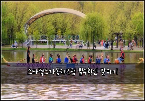 스타렉스자동차보험 필수확인  잘하기