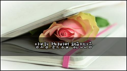 μ보ν μ μ½λ°©λ² νκ· μ§λ¨κΈ
