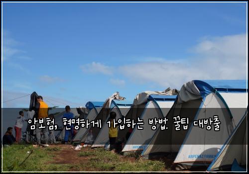  암보험, 현명하게 가입하는 방법: 꿀팁 대방출