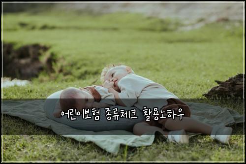 어린이보험 종류체크  활용노하우