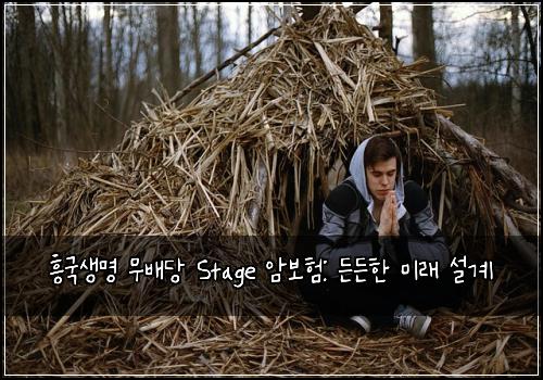 흥국생명 무배당 Stage 암보험: 든든한 미래 설계