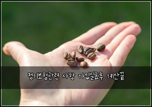 정기보험관련 사항 가입실효후 계산끝