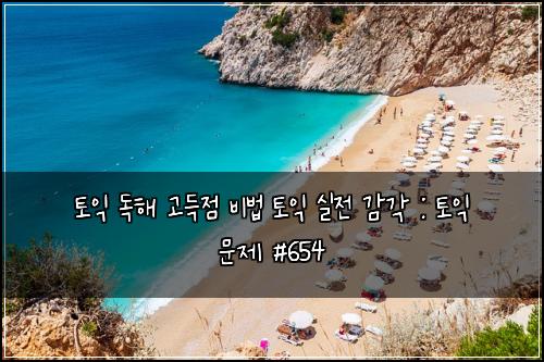 토익 독해 고득점 비법 토익 실전 감각 : 토익 문제 #654