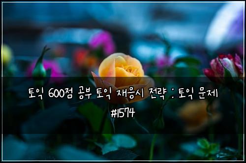 토익 600점 공부 토익 재응시 전략 : 토익 문제 #1574