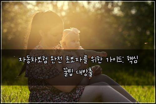  자동차보험 완전 초보자를 위한 가이드: 핵심 꿀팁 대방출
