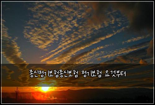 종신정기보험종신보험 정기보험 요것부터