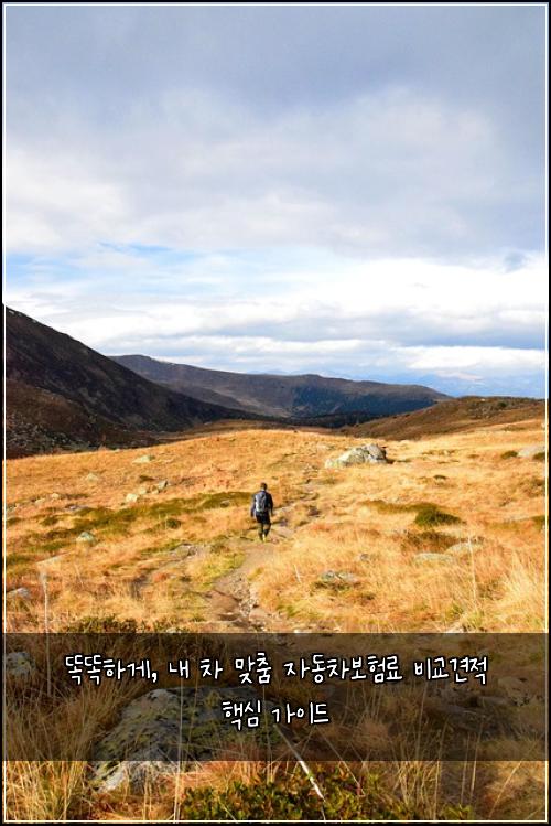  똑똑하게, 내 차 맞춤 자동차보험료 비교견적 핵심 가이드