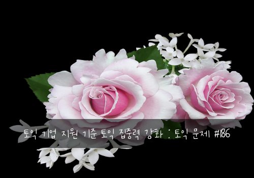 토익 기업 지원 기준 토익 집중력 강화 : 토익 문제 #186