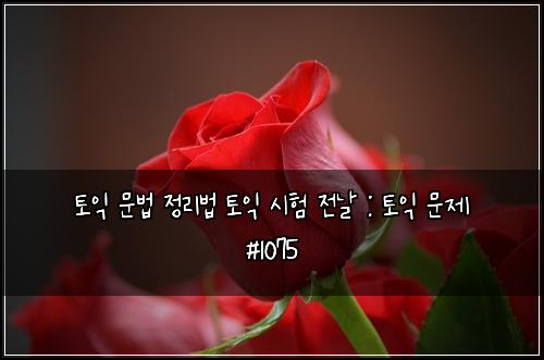 토익 문법 정리법 토익 시험 전날 : 토익 문제 #1075