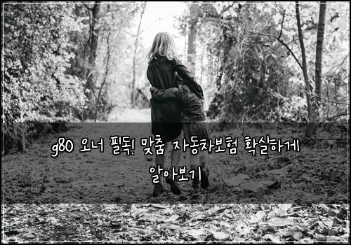 g80 오너 필독! 맞춤 자동차보험 확실하게 알아보기