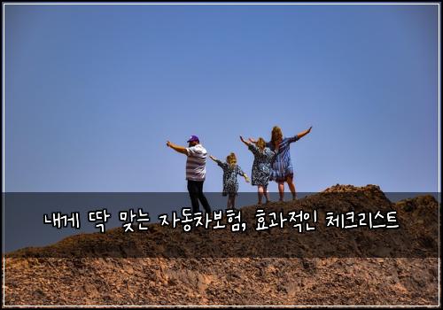  내게 딱 맞는 자동차보험, 효과적인 체크리스트