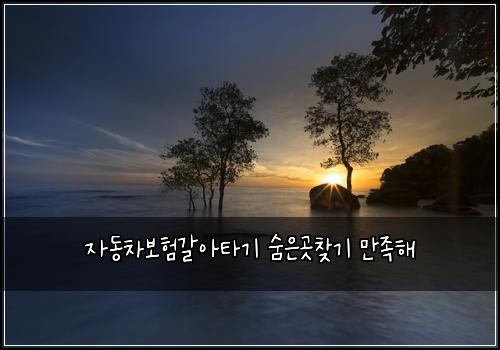 ์๋์ฐจ๋ณดํ๊ฐ์ํ๊ธฐ ์จ์๊ณณ์ฐพ๊ธฐ ๋ง์กฑํด