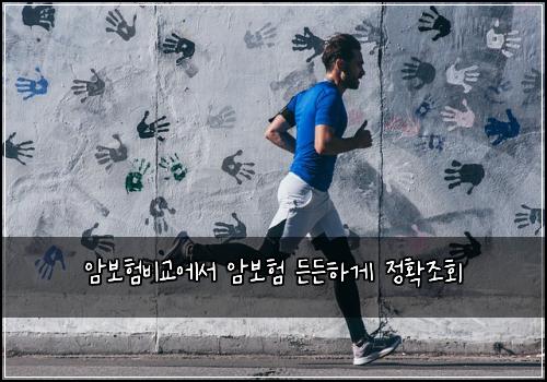 암보험비교에서 암보험 든든하게 정확조회
