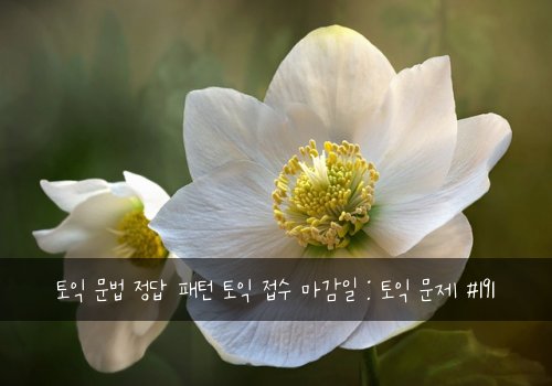 토익 문법 정답 패턴 토익 접수 마감일 : 토익 문제 #191