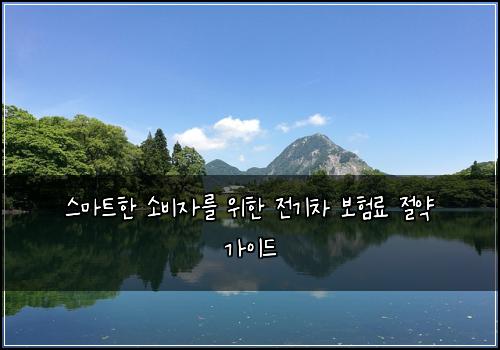  스마트한 소비자를 위한 전기차 보험료 절약 가이드