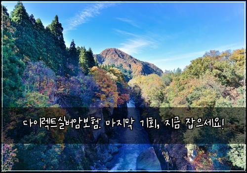다이렉트실버암보험: 마지막 기회, 지금 잡으세요!