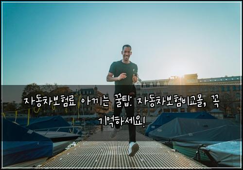 자동차보험료 아끼는 꿀팁: 자동차보험비교몰, 꼭 기억하세요!