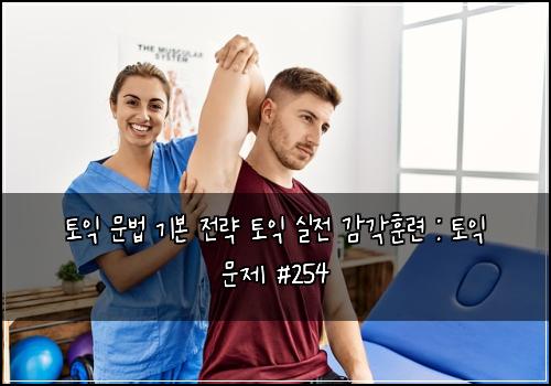 토익 문법 기본 전략 토익 실전 감각훈련 : 토익 문제 #254