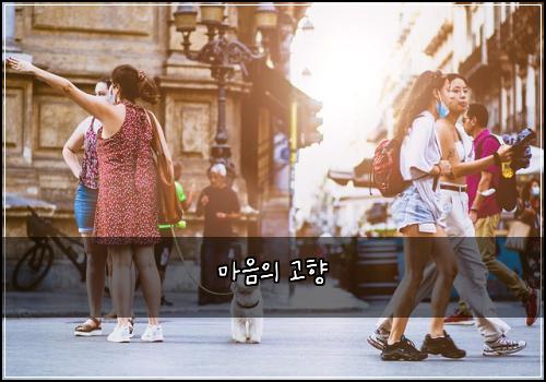 마음의 고향