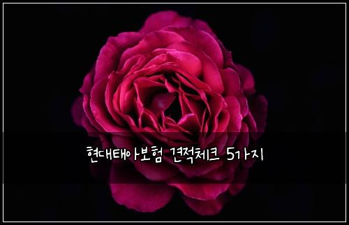 ํ๋ํ์๋ณดํ ๊ฒฌ์ ์ฒดํฌ 5๊ฐ์ง