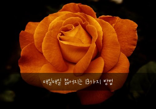 매일매일 젊어지는 13가지 방법