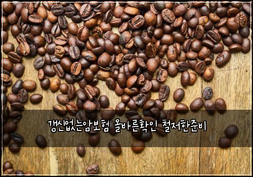 κ°±μ μλμ보ν μ¬λ°λ₯ΈνμΈ μ² μ νμ€λΉ