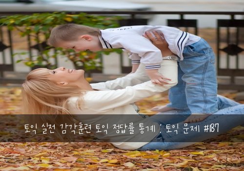 토익 실전 감각훈련 토익 정답률 통계 : 토익 문제 #187