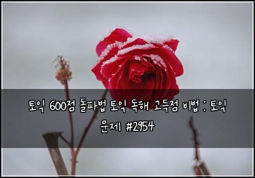 토익 600점 돌파법 토익 독해 고득점 비법 : 토익 문제 #2954