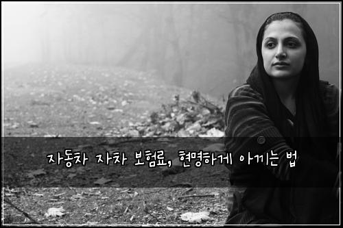 자동차 자차 보험료, 현명하게 아끼는 법