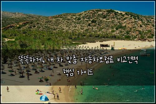  똑똑하게, 내 차 맞춤 자동차보험료 비교견적 핵심 가이드