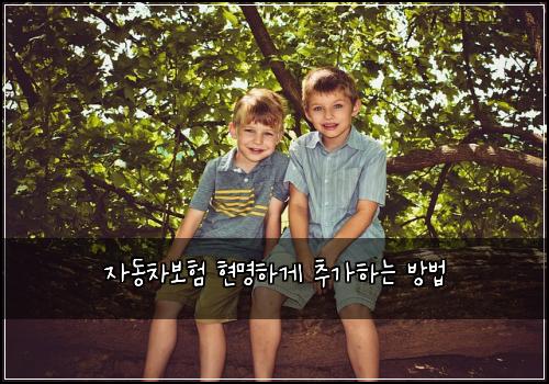 자동차보험 현명하게 추가하는 방법