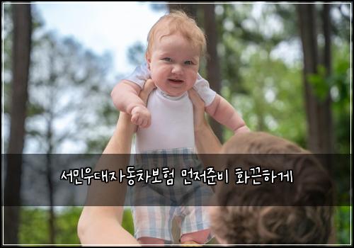 서민우대자동차보험 먼저준비  화끈하게