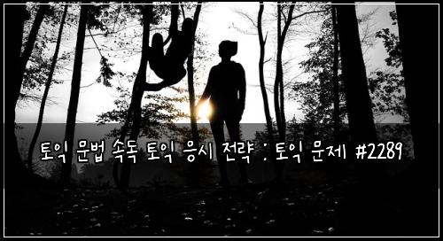 토익 문법 속독 토익 응시 전략 : 토익 문제 #2289